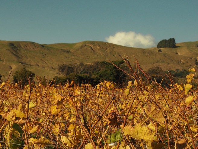 What was left of the golden leaves