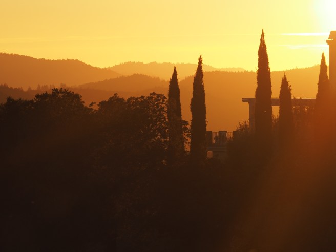 Half way up the hill