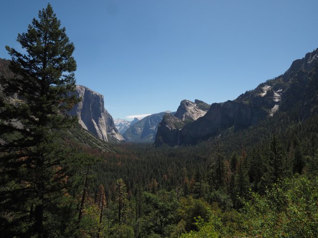Looking down the valley from Tunnel View