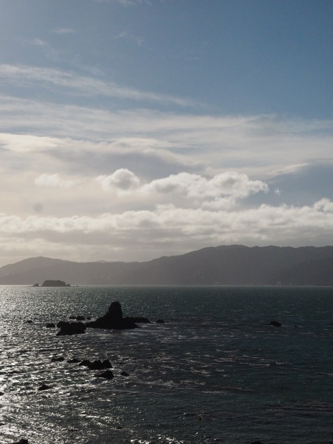 Steeple Rock, looking towards Eastbourne