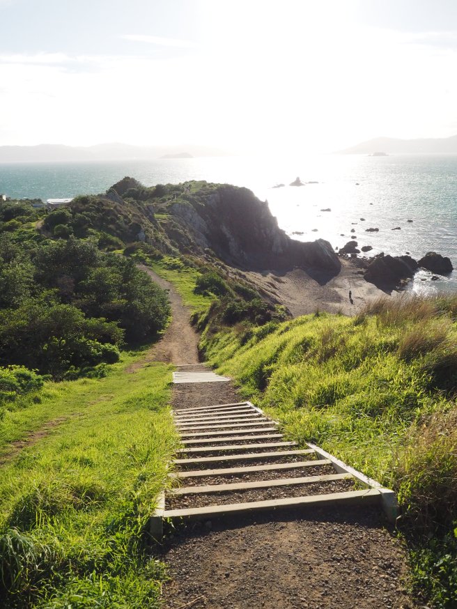 Fort Dorset, Oruaiti Reserve