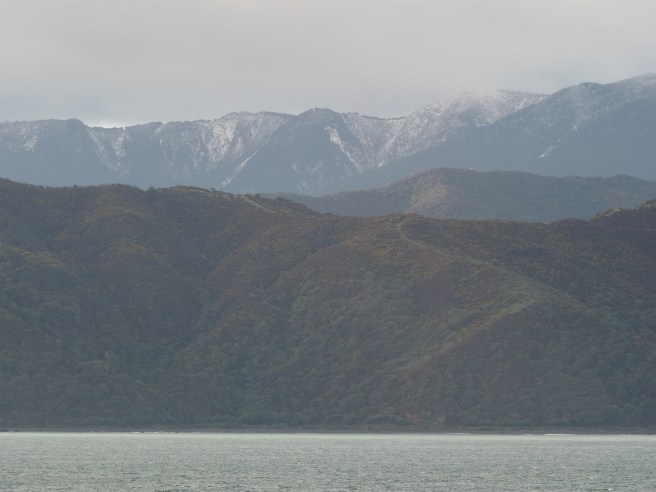 A light dusting of snow on the Rimutaka hills across the channel.