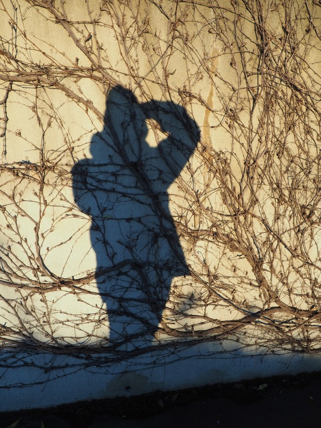 Shadow selfie!