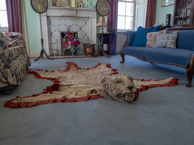 8AE55908-7679-49B5-8C4E-EF96416672E6