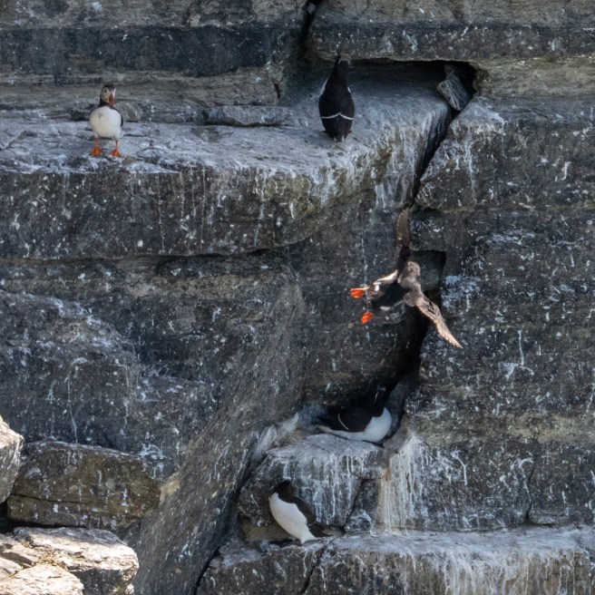 97535F00-84DF-4CC8-A626-EA034BED204B