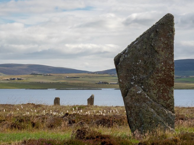 E0319971-FA07-4C4A-9FE7-822C941629C6